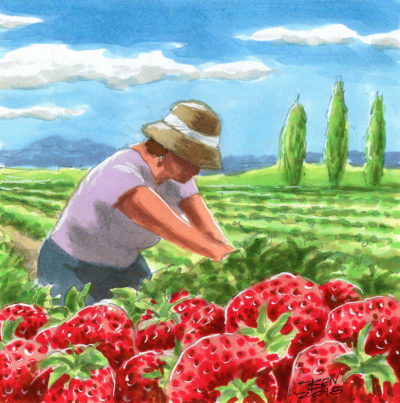 AI33 Strawberry Field